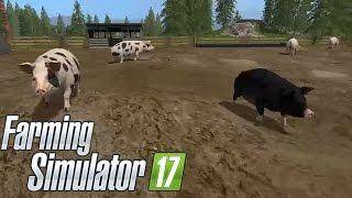 farming-simulator17-3