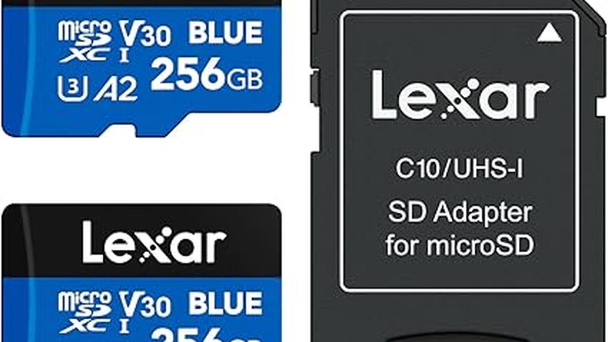 Lexar Blue Scheda Micro SD 256GB 2PK