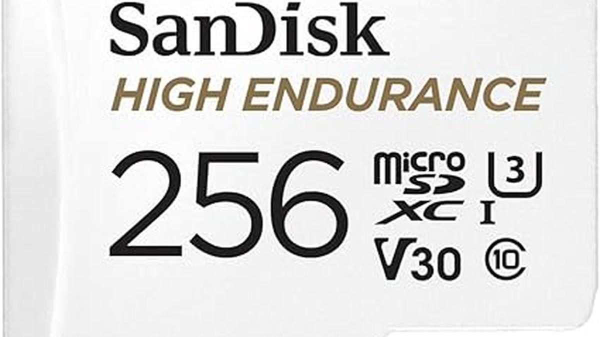 SanDisk HIGH Endurance Scheda microSDXC 256 GB per Videosorveglianza Domestica e Dashcam