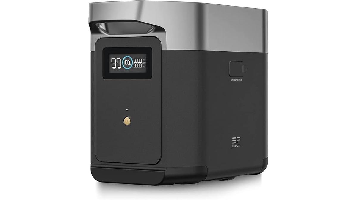EcoFlow DELTA 2 da 1 kWh